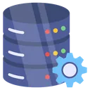 Databases & Platforms